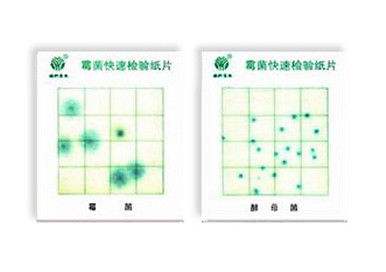 霉菌、酵母菌測試片